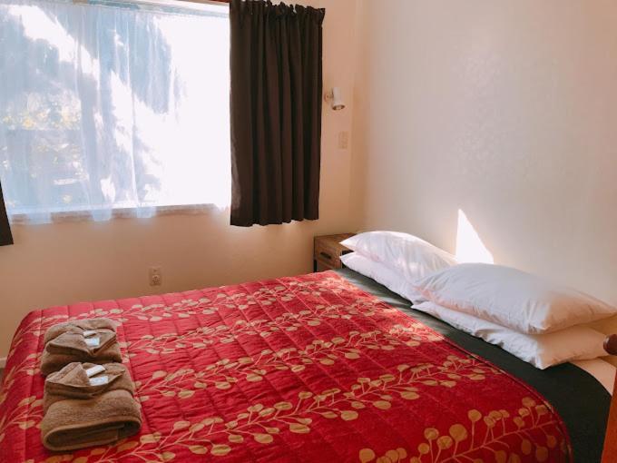 Aaron Court Motel Timaru Extérieur photo